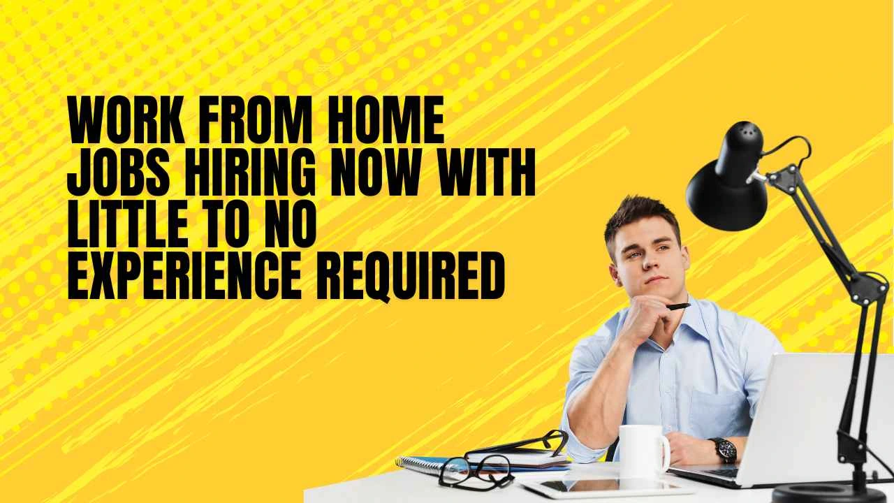 Work From Home Jobs Hiring Now with Little to No Experience Required